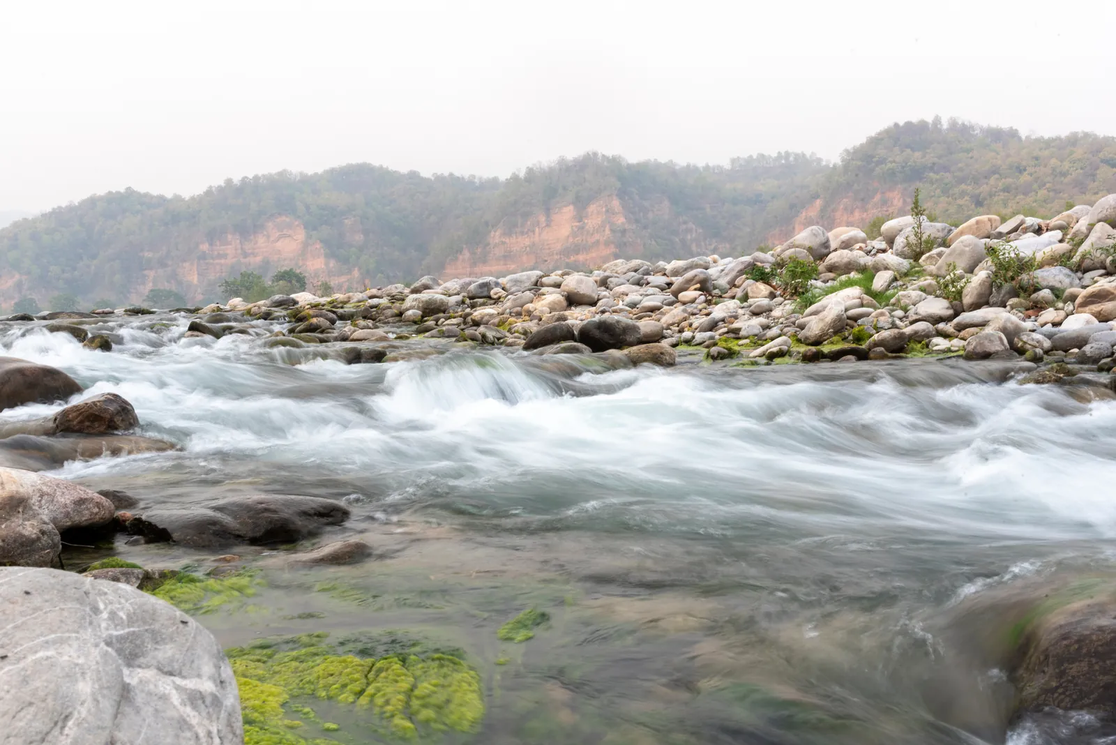 Jim Corbett Wellness Retreat — moment 1