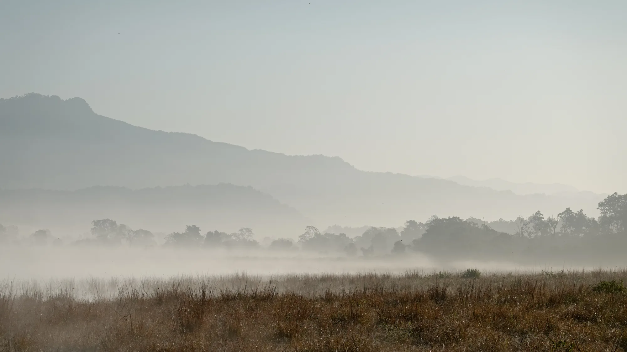 Jim Corbett Wellness Retreat